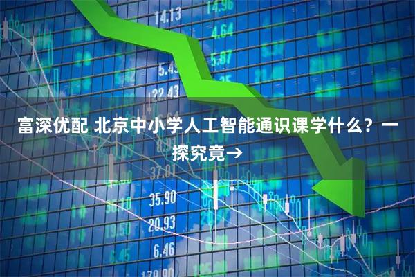 富深优配 北京中小学人工智能通识课学什么？一探究竟→