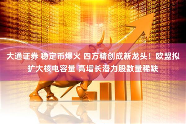 大通证券 稳定币爆火 四方精创成新龙头!欧盟拟扩大核电容量 高增长潜力股数量稀缺