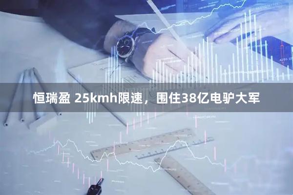 恒瑞盈 25kmh限速,围住38亿电驴大军